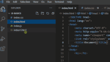 a screenshot of a program that says index.html on it