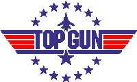 a logo for top gun with a jet and stars