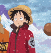 monkey d luffy is wearing a red jacket with a skull patch on it