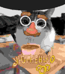 a pixelated image of a cat wearing a hat and glasses