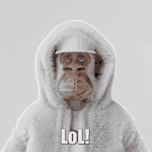 a monkey wearing a fur coat and a hat with lol written on the bottom