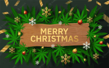 a wooden sign that says merry christmas is surrounded by marijuana leaves and christmas decorations