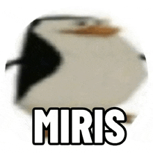 a penguin with the word miris on it