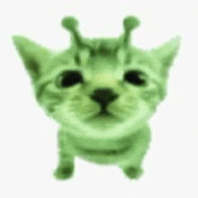 a green cat with antennas on its head is looking at the camera .