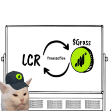 a cat wearing a black hat stands in front of a white board that says lcr transaction and $ grass