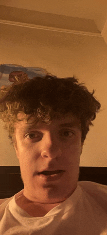 a man with curly hair looks at the camera