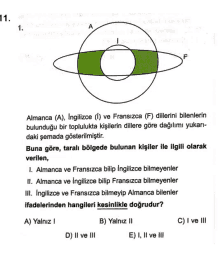 a circle with a green stripe in the middle of it and the number 11 on the bottom