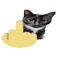 a black and white cat with a yellow middle finger in front of it