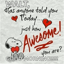 walt has anyone told you today just how awesome you are good morning !!!