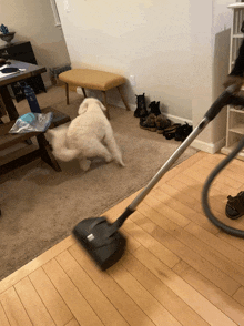 a person is using a vacuum cleaner to clean a carpet