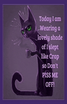 a black cat is wearing a lovely shade of i slept like crap so don 't piss me off !