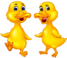 two cartoon ducks are standing next to each other