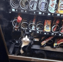 a black and white cat sits in a vending machine with a snickers bar in the back