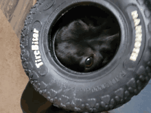 a black cat is laying inside of a tire that says ' tirebiter ' on it