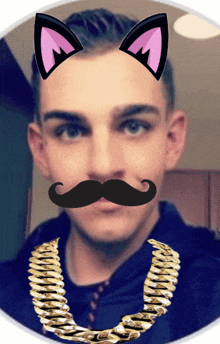 a man with cat ears and a fake mustache