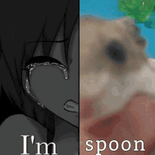 a picture of a girl crying next to a picture of a hamster with the words i 'm spoon