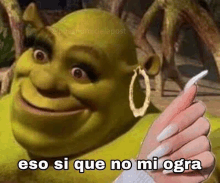 shrek is wearing hoop earrings and a woman 's hand is holding shrek 's ear .