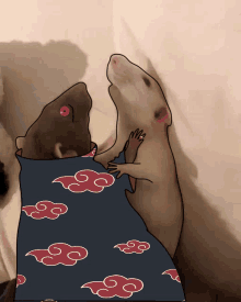 a drawing of a rat wearing a blanket with red clouds