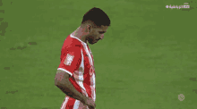 a soccer player wearing a red and white striped jersey with the letter h on the front stands on the field