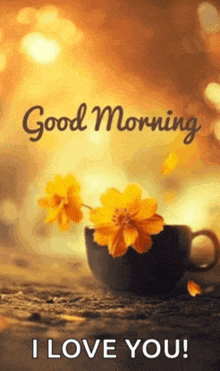 a cup of coffee with yellow flowers in it and the words good morning i love you .