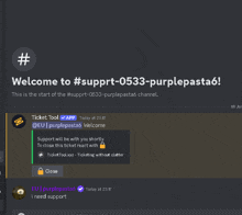 a welcome to #support-0533-purplepasta6 message on a discord channel