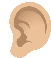 a close up of a person 's ear with a white background