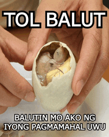 a person holding a broken egg with the words tol balot written above it