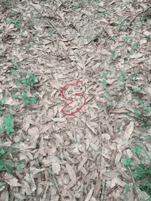 a snake is drawn in red on the ground