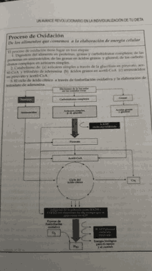 a diagram showing the process of oxidation in a book