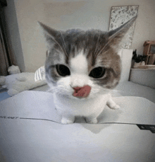 a cat sticking its tongue out while sitting on a planet brand printer