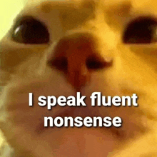 a close up of a cat 's face with the words `` i speak fluent nonsense '' written on it .