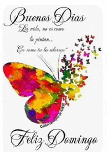 a colorful butterfly with the words buenos dias and feliz domingo on it