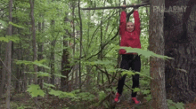 a woman in a red sweater is hanging from a tree in the woods with failarmy written on the wall behind her