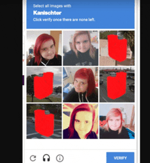 a screen that says select all images with kaniachter click verify once there are none left