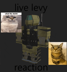 Livelevy Meme