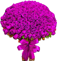 a bouquet of purple roses with a pink ribbon