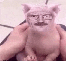 a person is holding a pig with a beard and glasses on it .