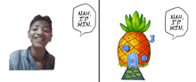 nah i 'd win speech bubble next to a picture of a pineapple house