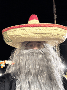 a man wearing a sombrero and a long beard