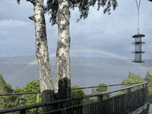 a bird feeder hangs from a fence overlooking a lake with a rainbow in the background