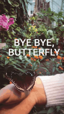 a person holding a butterfly in their hand with the words bye bye butterfly below it