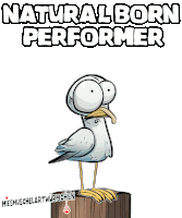 a cartoon of a seagull standing on a wooden post with the words natural born performer above it