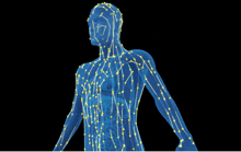 a computer generated image of a person 's lymphatic system with yellow dots