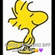 a picture of woodstock with the words good morning bff love you