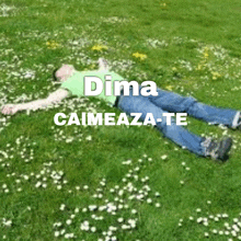 a man is laying in the grass with the words dima caimeaza-te written above him