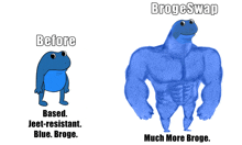 a picture of a frog and a picture of a frog with the words before and brogeswap on it