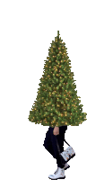 a person carrying a christmas tree on their back