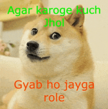 a dog with the words agar karoge kuch jhol gyab ho jayga role written on it