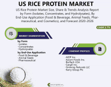 an advertisement for the us rice protein market shows a bowl of rice