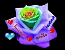 a purple rose with facebook and buona notte written around it